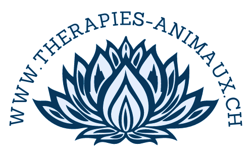 logo1 - Copie - Copie