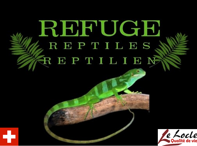 refuge-reptile.ch logo Refuge pour reptile